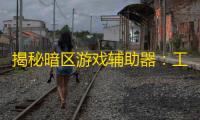 揭秘暗区游戏辅助器：工作原理、风险及对游戏乐趣的影响？